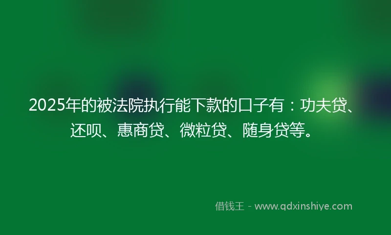 2025年的被法院执行能下款的口子有：功夫贷、还呗、惠商贷、微粒贷、随身贷等。