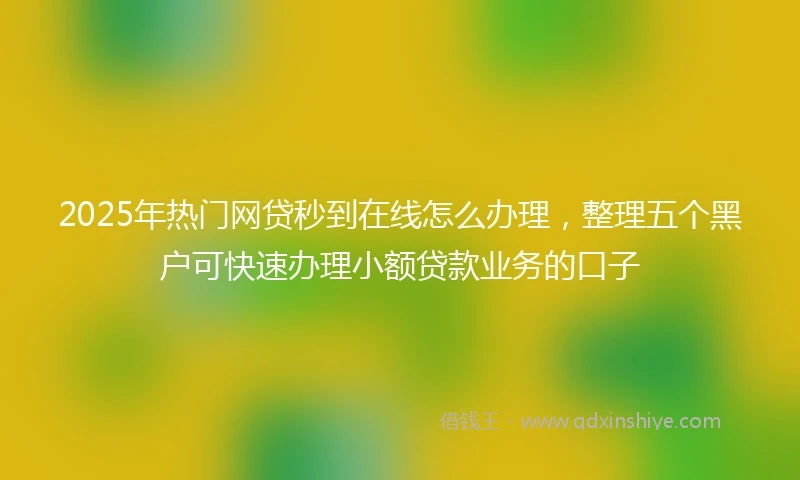 2025年热门网贷秒到在线怎么办理，整理五个黑户可快速办理小额贷款业务的口子