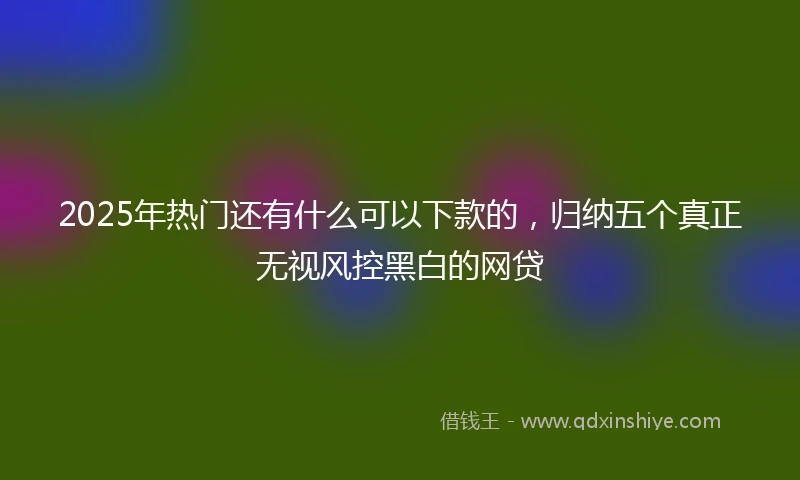 2025年热门还有什么可以下款的，归纳五个真正无视风控黑白的网贷