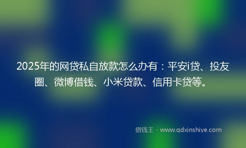 2025年的网贷私自放款怎么办有：平安i贷、投友圈、微博借钱、小米贷款、信用卡贷等。