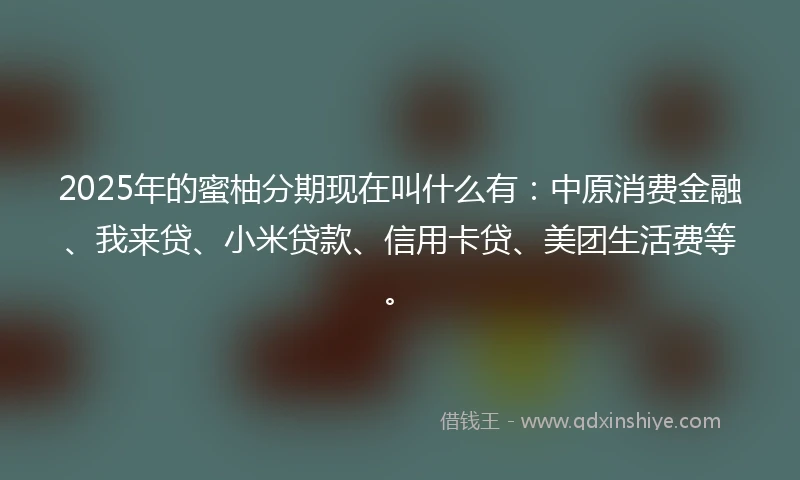 2025年的蜜柚分期现在叫什么有：中原消费金融、我来贷、小米贷款、信用卡贷、美团生活费等。