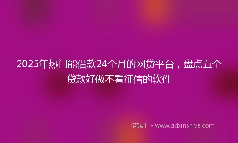 2025年热门能借款24个月的网贷平台，盘点五个贷款好做不看征信的软件