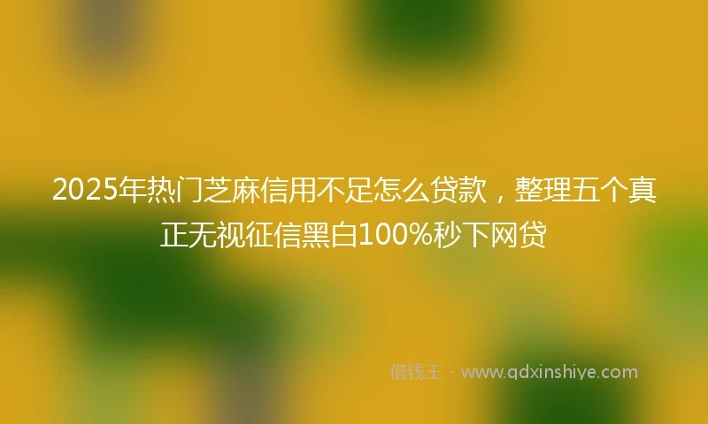 2025年热门芝麻信用不足怎么贷款，整理五个真正无视征信黑白100%秒下网贷