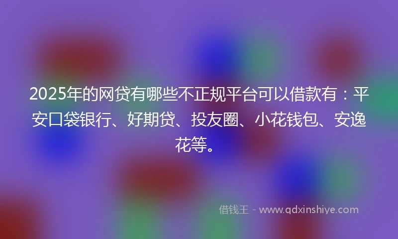 2025年的网贷有哪些不正规平台可以借款有：平安口袋银行、好期贷、投友圈、小花钱包、安逸花等。