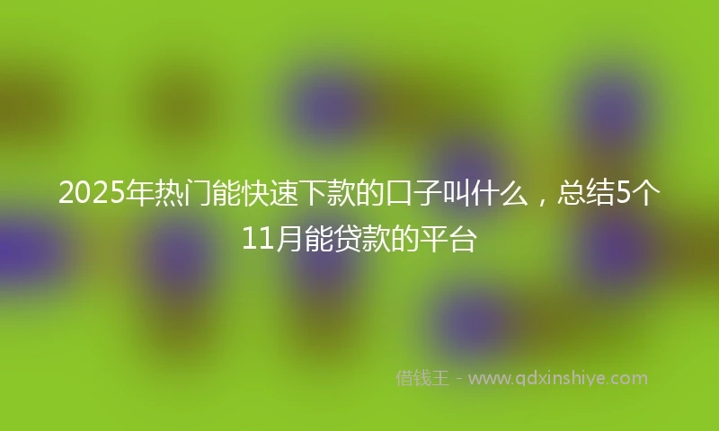 2025年热门能快速下款的口子叫什么，总结5个11月能贷款的平台