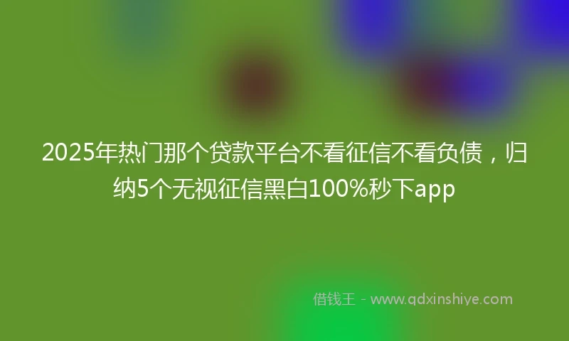 2025年热门那个贷款平台不看征信不看负债，归纳5个无视征信黑白100%秒下app