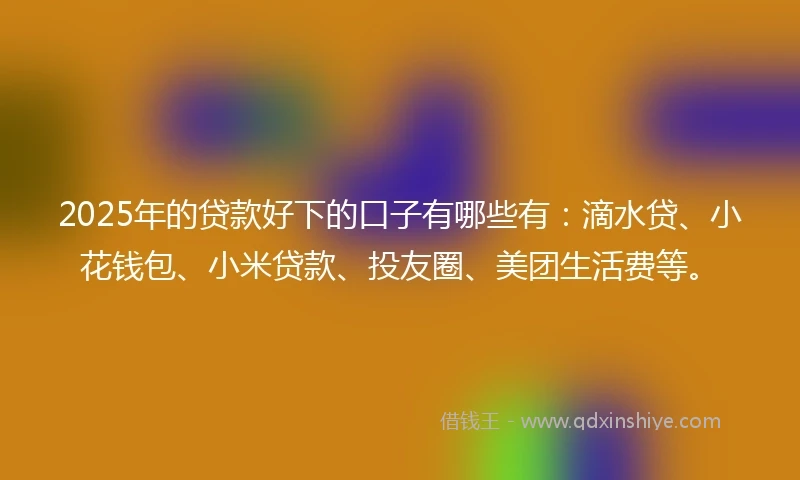 2025年的贷款好下的口子有哪些有：滴水贷、小花钱包、小米贷款、投友圈、美团生活费等。