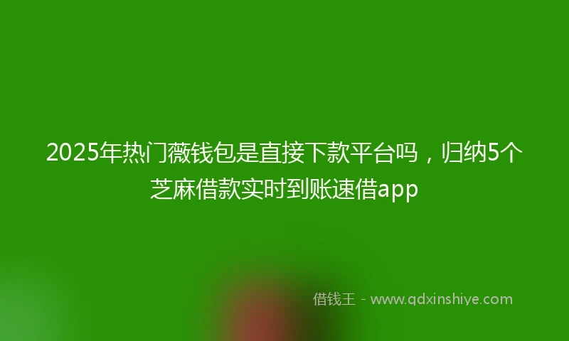 2025年热门薇钱包是直接下款平台吗,归纳5个芝麻借款实时到账速借app