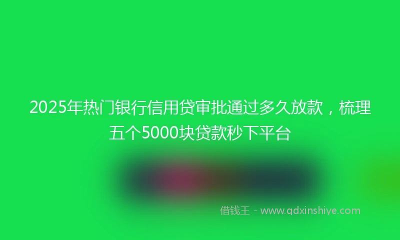 2025年热门银行信用贷审批通过多久放款，梳理五个5000块贷款秒下平台