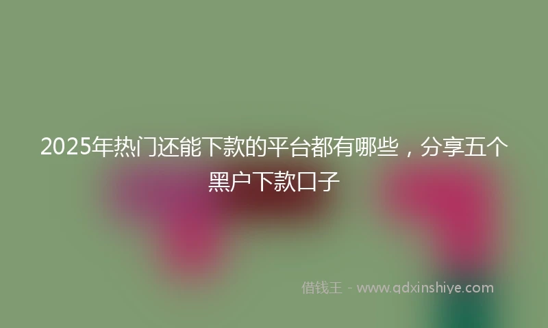 2025年热门还能下款的平台都有哪些，分享五个黑户下款口子