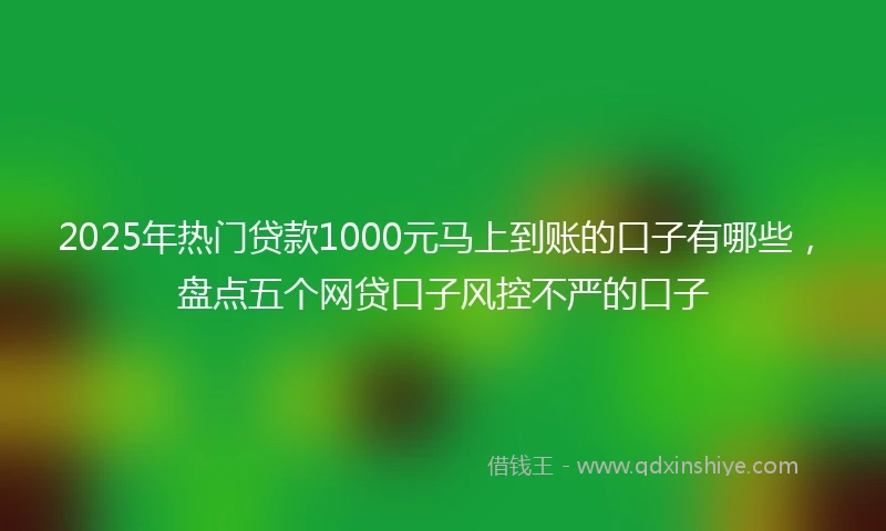 2025年热门贷款1000元马上到账的口子有哪些，盘点五个网贷口子风控不严的口子