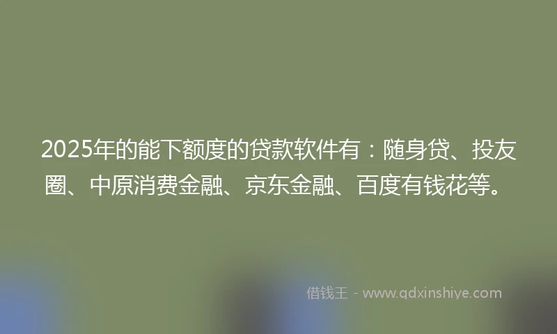 2025年的能下额度的贷款软件有：随身贷、投友圈、中原消费金融、京东金融、百度有钱花等。