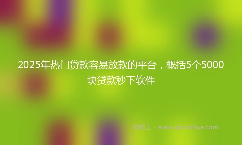 2025年热门贷款容易放款的平台，概括5个5000块贷款秒下软件
