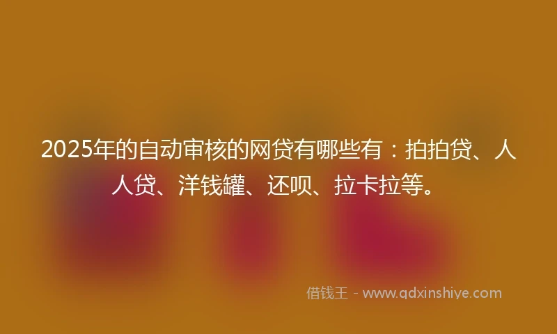 2025年的自动审核的网贷有哪些有：拍拍贷、人人贷、洋钱罐、还呗、拉卡拉等。