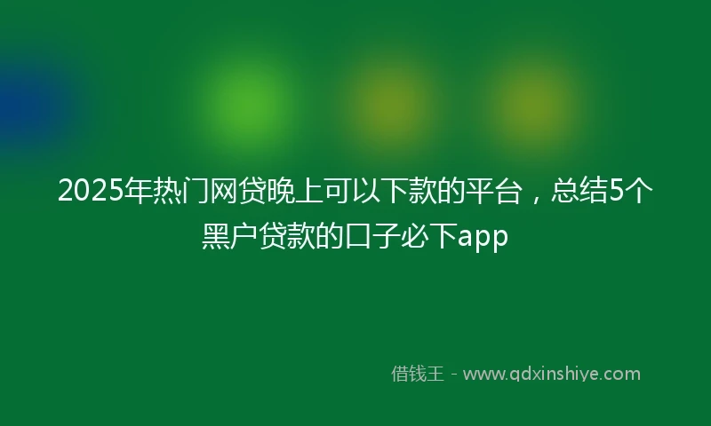 2025年热门网贷晚上可以下款的平台，总结5个黑户贷款的口子必下app