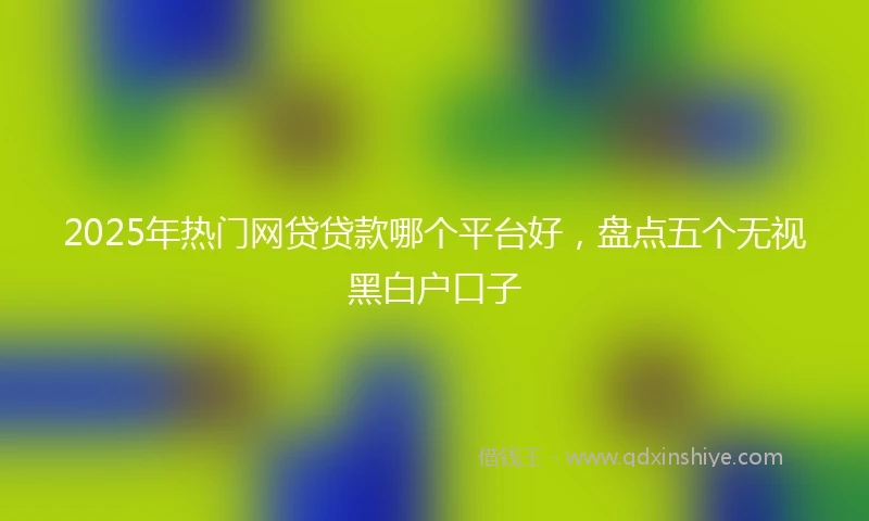 2025年热门网贷贷款哪个平台好，盘点五个无视黑白户口子