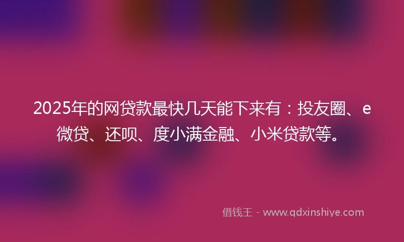2025年的网贷款最快几天能下来有：投友圈、e微贷、还呗、度小满金融、小米贷款等。