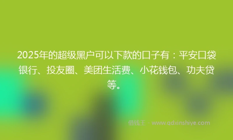 2025年的超级黑户可以下款的口子有：平安口袋银行、投友圈、美团生活费、小花钱包、功夫贷等。