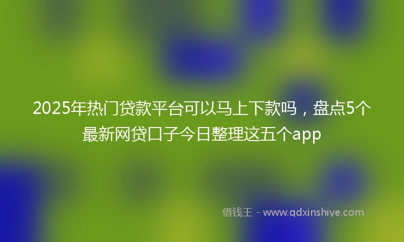 2025年热门贷款平台可以马上下款吗，盘点5个最新网贷口子今日整理这五个app