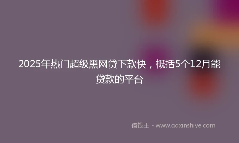 2025年热门超级黑网贷下款快，概括5个12月能贷款的平台