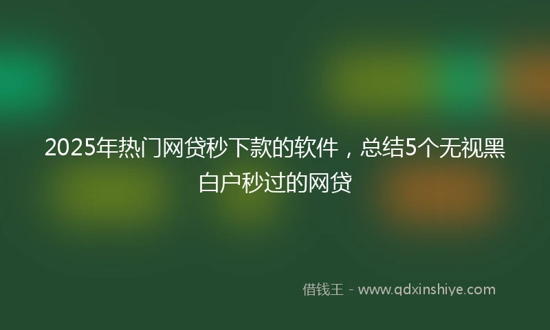 2025年热门网贷秒下款的软件，总结5个无视黑白户秒过的网贷