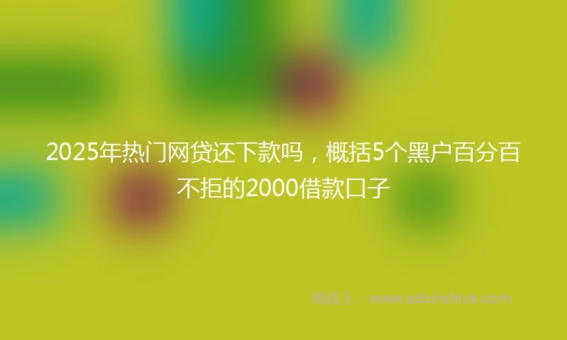 2025年热门网贷还下款吗，概括5个黑户百分百不拒的2000借款口子