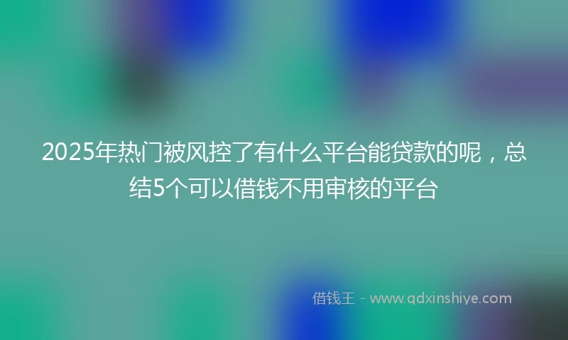 2025年热门被风控了有什么平台能贷款的呢，总结5个可以借钱不用审核的平台