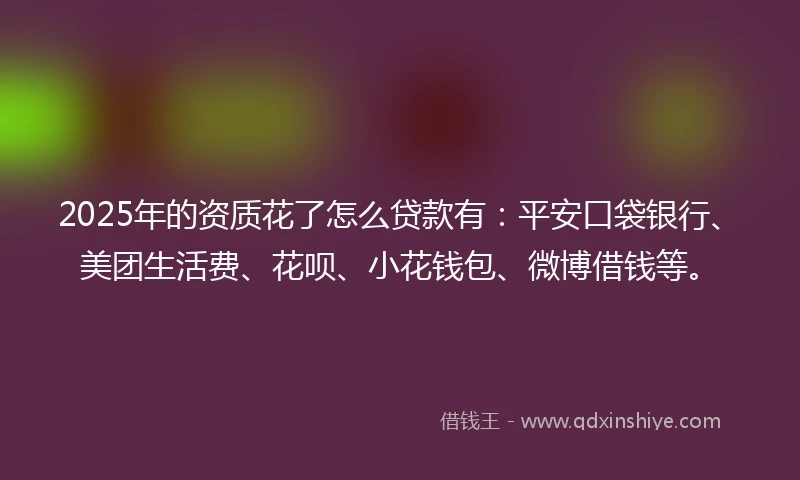 2025年的资质花了怎么贷款有：平安口袋银行、美团生活费、花呗、小花钱包、微博借钱等。