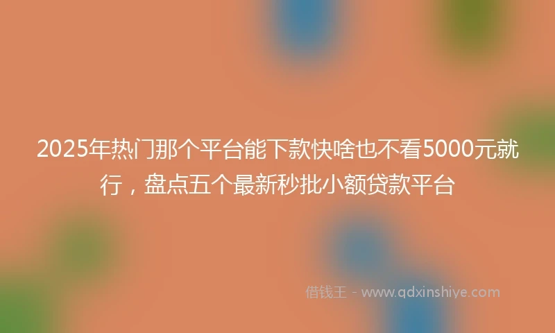 2025年热门那个平台能下款快啥也不看5000元就行，盘点五个最新秒批小额贷款平台