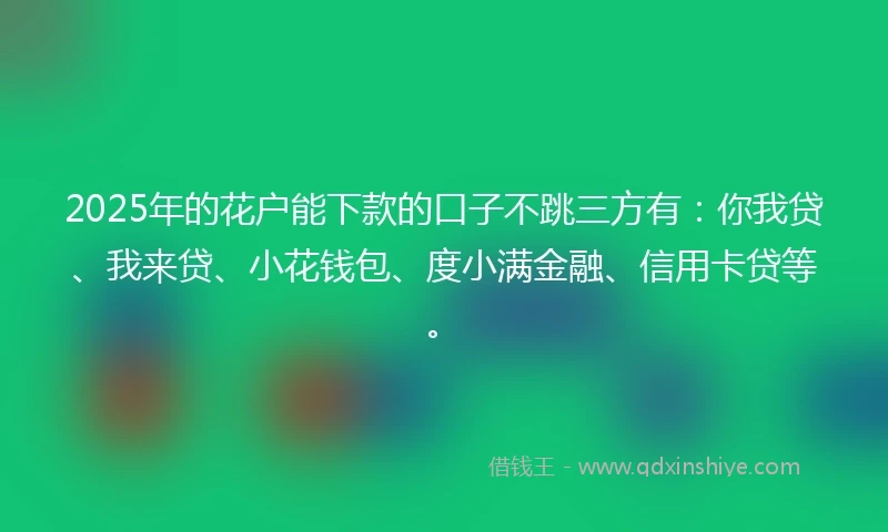 2025年的花户能下款的口子不跳三方有：你我贷、我来贷、小花钱包、度小满金融、信用卡贷等。