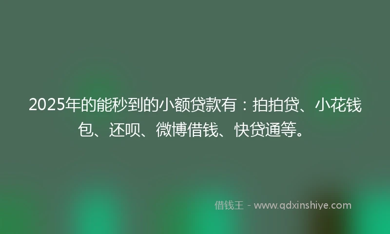 2025年的能秒到的小额贷款有：拍拍贷、小花钱包、还呗、微博借钱、快贷通等。