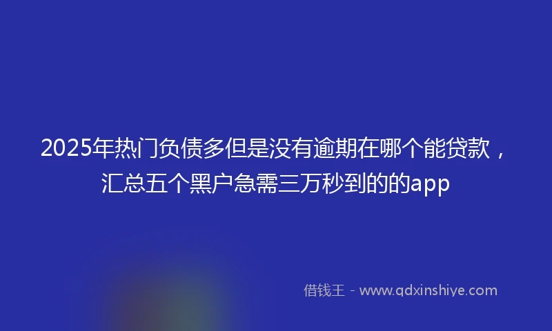 2025年热门负债多但是没有逾期在哪个能贷款，汇总五个黑户急需三万秒到的的app