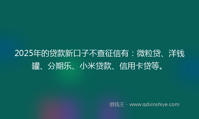 2025年的贷款新口子不查征信有：微粒贷、洋钱罐、分期乐、小米贷款、信用卡贷等。