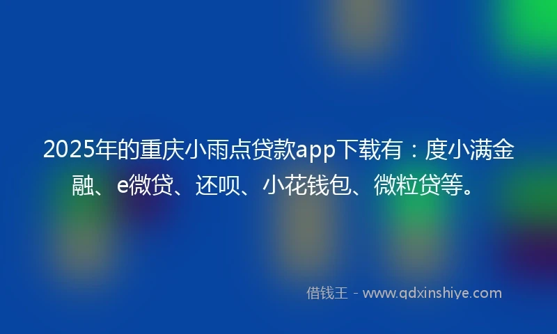 2025年的重庆小雨点贷款app下载有：度小满金融、e微贷、还呗、小花钱包、微粒贷等。