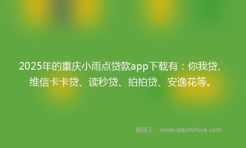 2025年的重庆小雨点贷款app下载有：你我贷、维信卡卡贷、读秒贷、拍拍贷、安逸花等。