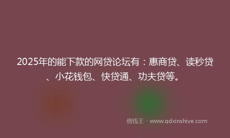 2025年的能下款的网贷论坛有：惠商贷、读秒贷、小花钱包、快贷通、功夫贷等。