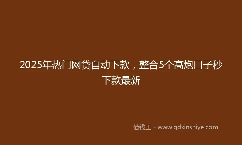 2025年热门网贷自动下款，整合5个高炮口子秒下款最新