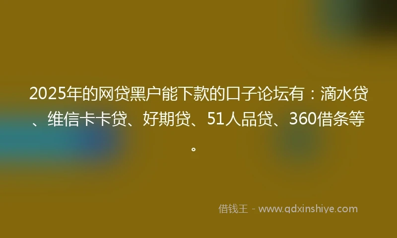2025年的网贷黑户能下款的口子论坛有：滴水贷、维信卡卡贷、好期贷、51人品贷、360借条等。