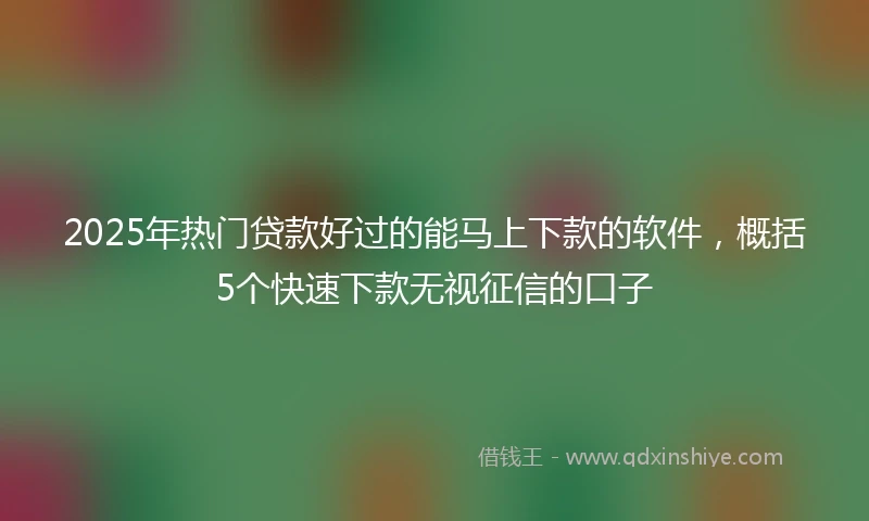 2025年热门贷款好过的能马上下款的软件，概括5个快速下款无视征信的口子