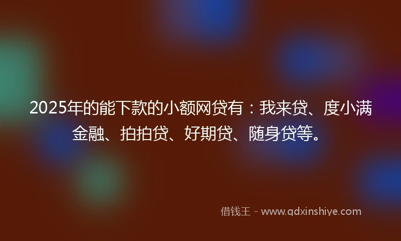 2025年的能下款的小额网贷有：我来贷、度小满金融、拍拍贷、好期贷、随身贷等。