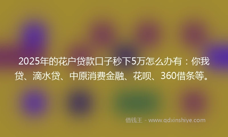 2025年的花户贷款口子秒下5万怎么办有：你我贷、滴水贷、中原消费金融、花呗、360借条等。