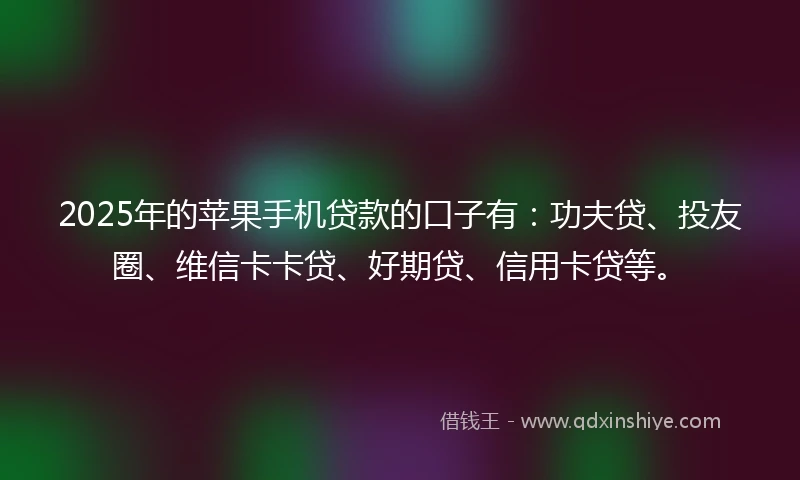 2025年的苹果手机贷款的口子有：功夫贷、投友圈、维信卡卡贷、好期贷、信用卡贷等。
