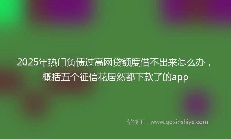 2025年热门负债过高网贷额度借不出来怎么办，概括五个征信花居然都下款了的app
