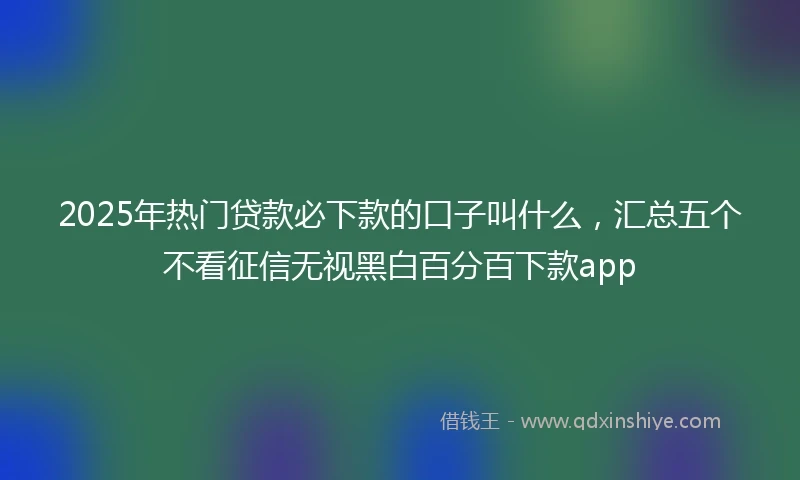 2025年热门贷款必下款的口子叫什么,汇总五个不看征信无视黑白百分百下款app