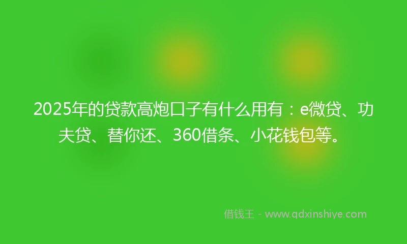 2025年的贷款高炮口子有什么用有：e微贷、功夫贷、替你还、360借条、小花钱包等。
