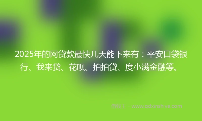 2025年的网贷款最快几天能下来有：平安口袋银行、我来贷、花呗、拍拍贷、度小满金融等。