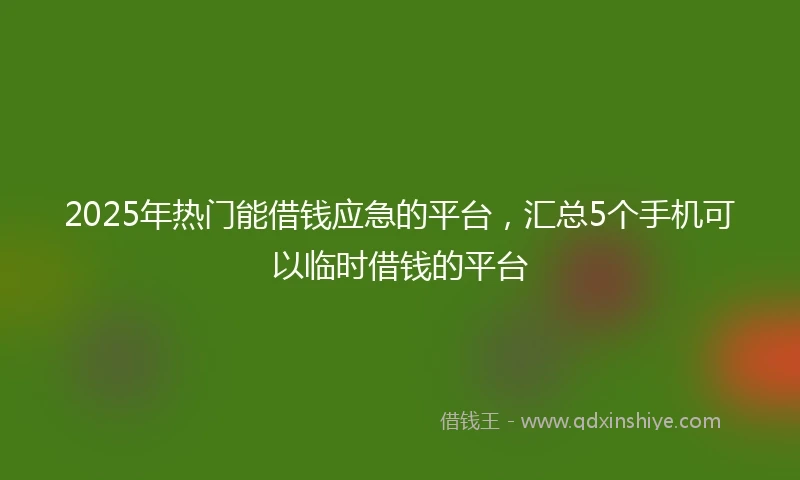 2025年热门能借钱应急的平台，汇总5个手机可以临时借钱的平台