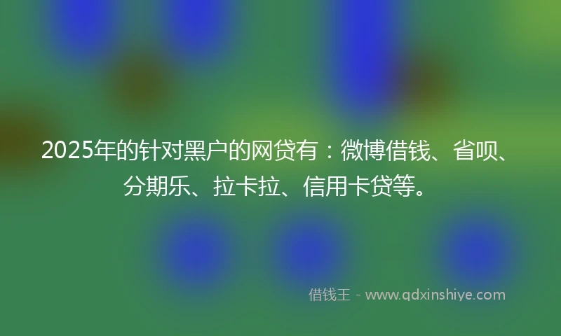 2025年的针对黑户的网贷有：微博借钱、省呗、分期乐、拉卡拉、信用卡贷等。