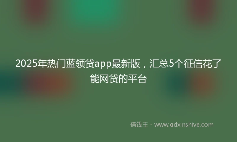 2025年热门蓝领贷app最新版，汇总5个征信花了能网贷的平台
