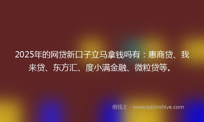 2025年的网贷新口子立马拿钱吗有：惠商贷、我来贷、东方汇、度小满金融、微粒贷等。
